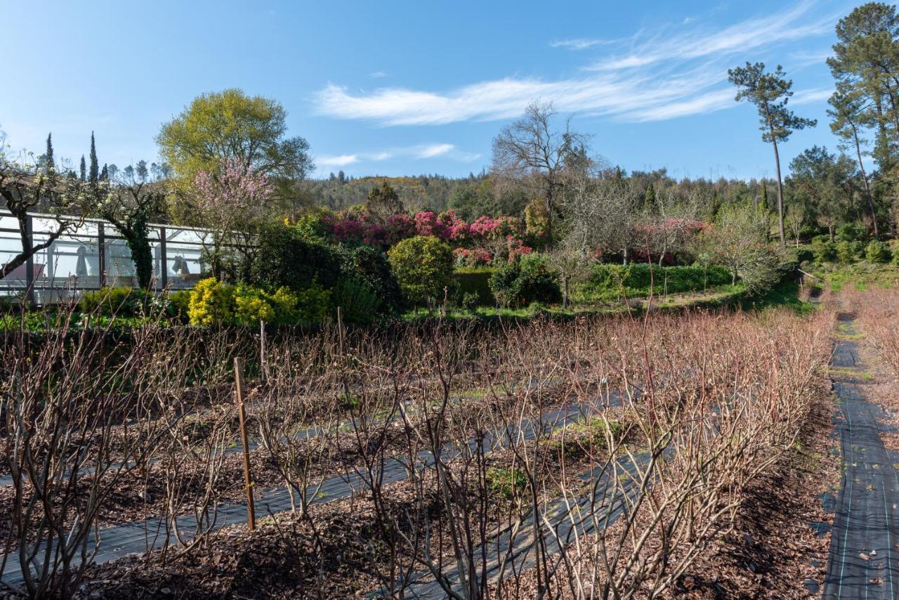 Гостевой дом Quinta De Mouraes Casa Dos Rododendros Lever Экстерьер фото