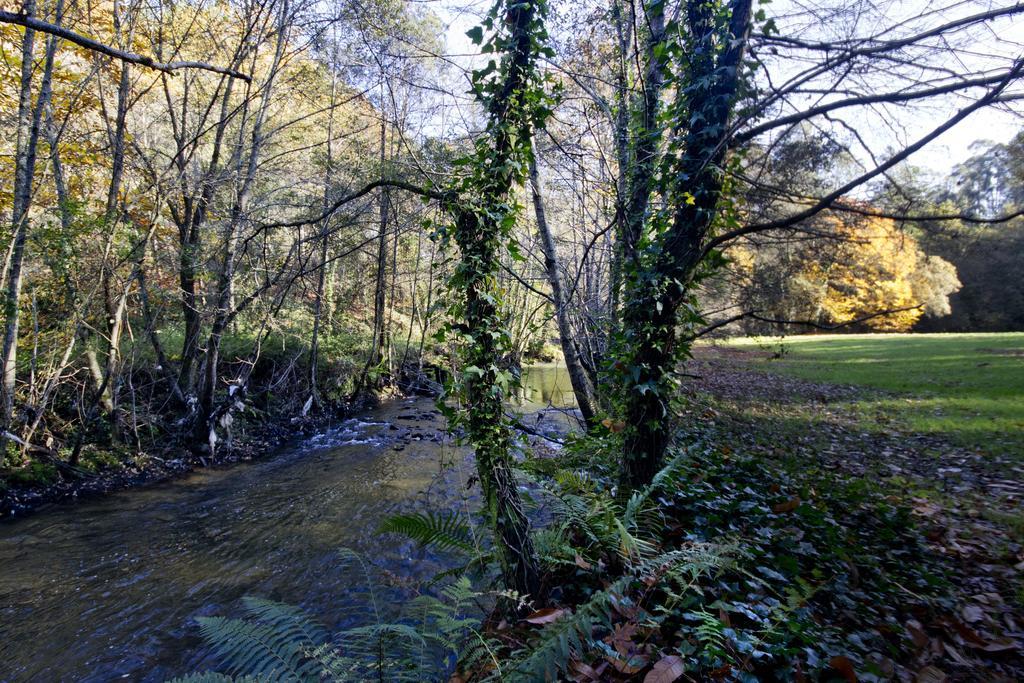 Гостевой дом Quinta De Mouraes Casa Dos Rododendros Lever Экстерьер фото