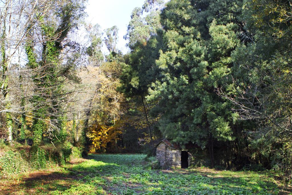 Гостевой дом Quinta De Mouraes Casa Dos Rododendros Lever Экстерьер фото