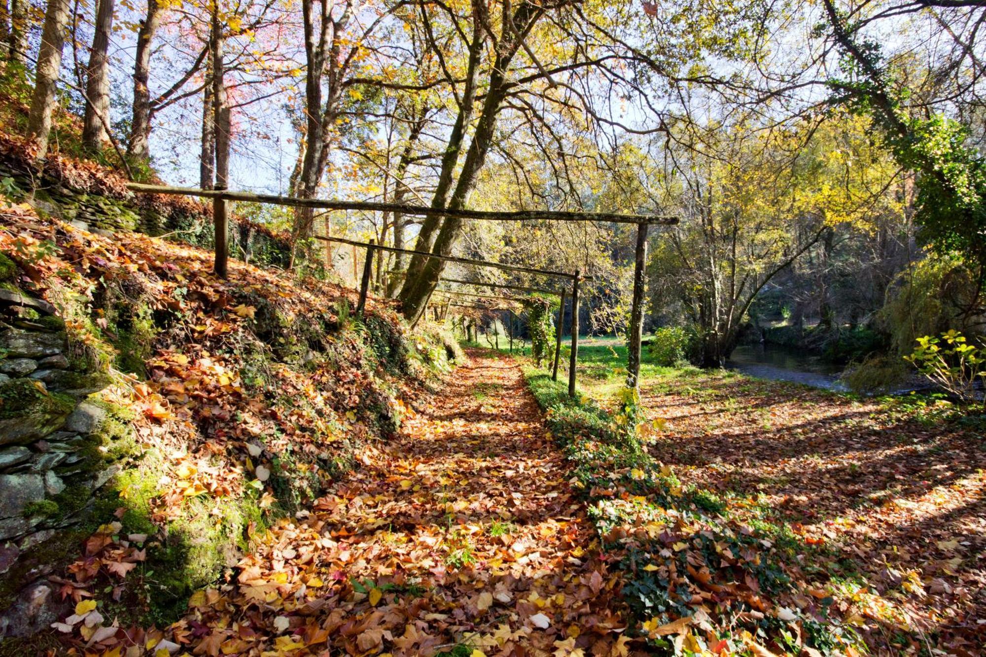 Гостевой дом Quinta De Mouraes Casa Dos Rododendros Lever Экстерьер фото